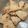 saki1010's cooksnap of when they made ★超簡単！粉チーズでチーザなクラッカー★.