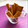 イクイブ's cooksnap of when they made サクサクっ♪焼くまで5分のおからクッキー.