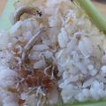 あゆたっくん's cooksnap of when they made おにぎり 梅 鰹節 ちりめんじゃこ.