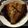 ☆hikonyan☆'s cooksnap of when they made 簡単！フライパンでカレイの煮付け☆.