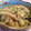 たもたん's cooksnap of when they made ちくわとピーマンのきんぴら.