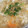 ブランシュkuu's cooksnap of when they made 野菜も食べよう！簡単玉子と野菜のスープ.