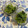 クック49L4Ho☆'s cooksnap of when they made 小松菜と豆苗の胡麻和え.