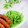 Satoco❋'s cooksnap of when they made 豆苗だけ☆白だしとマヨネーズで.