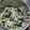 クックYF40Y7☆'s cooksnap of when they made もやしとほうれん草のナムル.