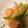 みっこ・みきてぃ's cooksnap of when they made アスパラガスと海老の塩とろみ炒め.