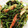 MAXA！'s cooksnap of when they made ＊豆苗とちくわのおかか炒め＊.
