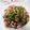 もにゃっこ's cooksnap of when they made ***大漁★我が家の鯵の粗なめろう***.