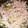 アクィ♡'s cooksnap of when they made しらたきとピーマンのたらこ炒め.