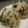 ささらんらん's cooksnap of when they made 鮭と塩こんぶとごま油　DE　おにぎり♪.