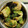 ミント🌿's cooksnap of when they made 肉巻きしいたけ.