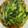 クック0HK8AE☆'s cooksnap of when they made 小松菜の青菜炒め.