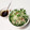 ｍｏｌｔｏ's cooksnap of when they made 焼鳥屋さんのみょうがとかいわれのサラダ♡.