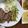 ☆あさ's cooksnap of when they made じゃがいもとピーマンのシャキシャキ炒め♡.