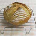 umemodoki's cooksnap of when they made 全粒粉多目のカンパーニュ.