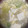 snow012's cooksnap of when they made 白菜と豆腐の塩糀とろみスープ.