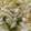 ドラちゃん♪'s cooksnap of when they made 簡単！卵とじうどん.