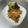 豆夢zumu's cooksnap of when they made 豚肉と玉ねぎのケチャップ炒め。.
