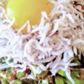 口福さん♪'s cooksnap of when they made 免疫UP＆美肌効果！醤油麹仕込みのニラ丼.