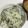 平野モコ's cooksnap of when they made パセリの炊き込みご飯.