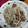 クック3N0VKO☆'s cooksnap of when they made 豚のしょうが焼き(漬け込み).