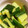 すぎちゃん☆'s cooksnap of when they made きゅうりの生姜炒め☆.