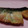 クックLS4RZG☆'s cooksnap of when they made 簡単♪お家で魚の西京焼風♪.