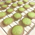 ガンビ's cooksnap of when they made 卵白で☆ヨックモック風ラングドシャ☆.