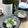 mikko6's cooksnap of when they made 白子の湯引き.