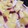 Chimy08's cooksnap of when they made ストウブで簡単さつまいもごはん.