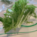Hirarinn☆'s cooksnap of when they made 水菜の冷凍保存♪.