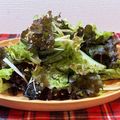 horseland's cooksnap of when they made サニーレタスと長ネギと海苔の韓国サラダ.