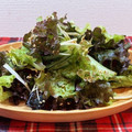 horseland's cooksnap of when they made サニーレタスと長ネギと海苔の韓国サラダ.