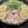 ヒラバヤシ's cooksnap of when they made 豚しゃぶレモン鍋.