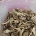 あいたんmama♡'s cooksnap of when they made しめじのオイスター炒め(副菜).