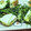 ゆけり３兄弟's cooksnap of when they made はんぺんと豆苗のマヨバター炒め.