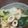 クック3V40C5☆'s cooksnap of when they made ちくわとチンゲン菜の煮浸し.