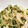 菜つ実☆ミ's cooksnap of when they made 【作り置き】ささみとカイワレの中華和え.