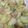 クック6DDPP8☆'s cooksnap of when they made 塩麹でふっくら鶏肉と白菜のトロトロ炒め.