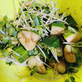 tiara＊'s cooksnap of when they made 止まらない！胡瓜とカイワレのおかか和え.