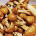 ☆とん吉☆'s cooksnap of when they made 株とりなめこのバター醤油炒め.