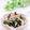 Satoco❋'s cooksnap of when they made 生ワカメと玉ねぎサラダ.