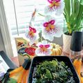 ladyoscar's cooksnap of when they made ワカメと生姜の酢の物♪さっぱり生姜香る!.