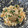 ★みーちゃんママ★'s cooksnap of when they made 柿の白和え.