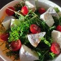 moeoke's cooksnap of when they made ニンジンの葉とトマトのサラダ.