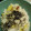 トンも's cooksnap of when they made 簡単☆さつまいもご飯.