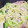 Miiiママ's cooksnap of when they made 【白だしで】簡単！小松菜の和風パスタ.