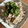 クックめーご☆'s cooksnap of when they made 簡単　酢モツ　☆とり皮のポン酢和え☆.