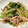 クックM6DK2O☆'s cooksnap of when they made ｽﾋﾟｰﾃﾞｨ♥豚と小松菜の酢醤油炒め♪.
