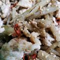 shinopyon's cooksnap of when they made ゴボウと豚肉のゴマ和え….